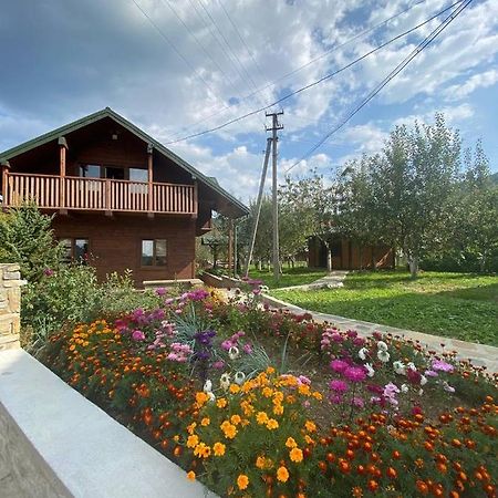 Анничка Villa Khorotseve Dış mekan fotoğraf