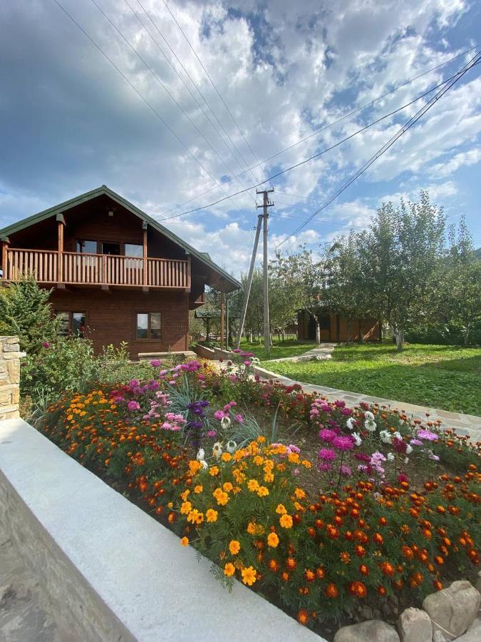 Анничка Villa Khorotseve Dış mekan fotoğraf