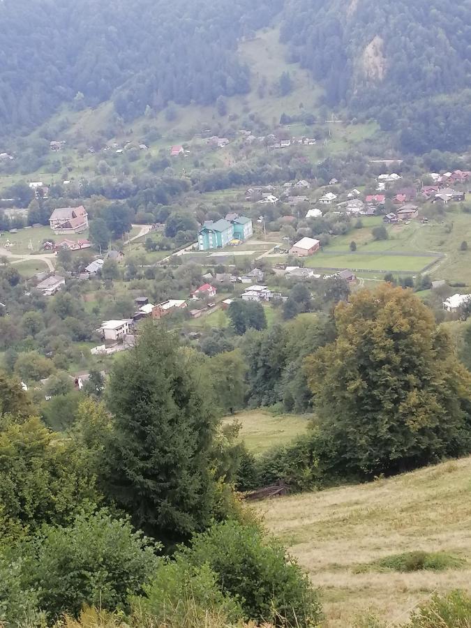 Анничка Villa Khorotseve Dış mekan fotoğraf