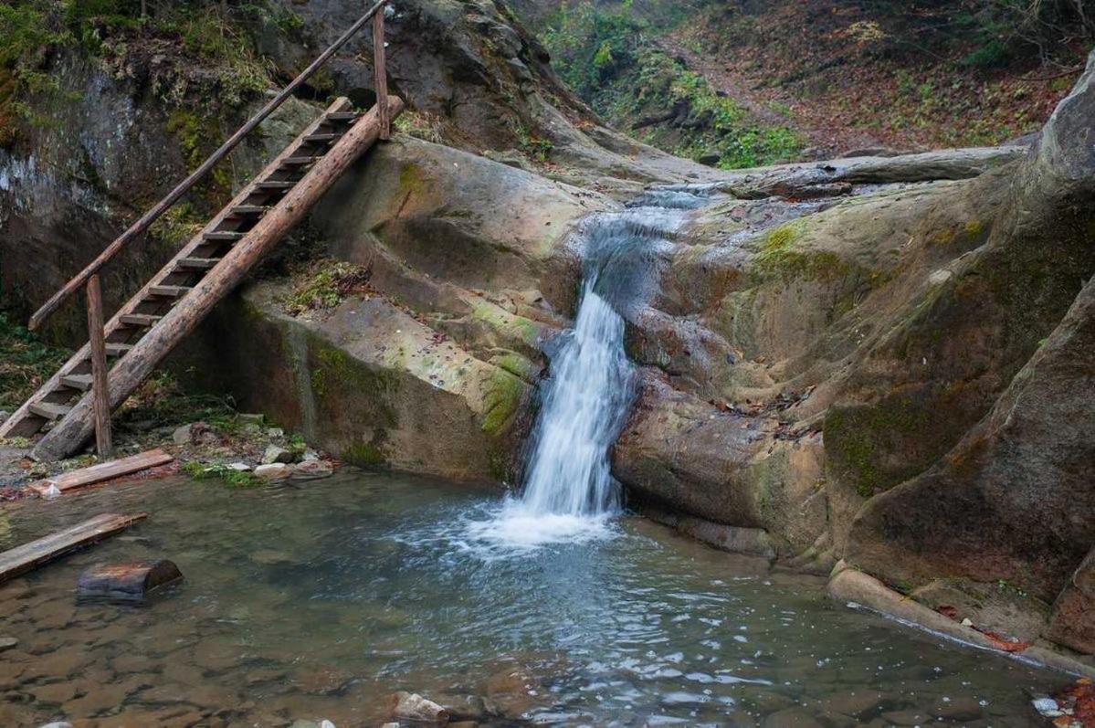 Анничка Villa Khorotseve Dış mekan fotoğraf