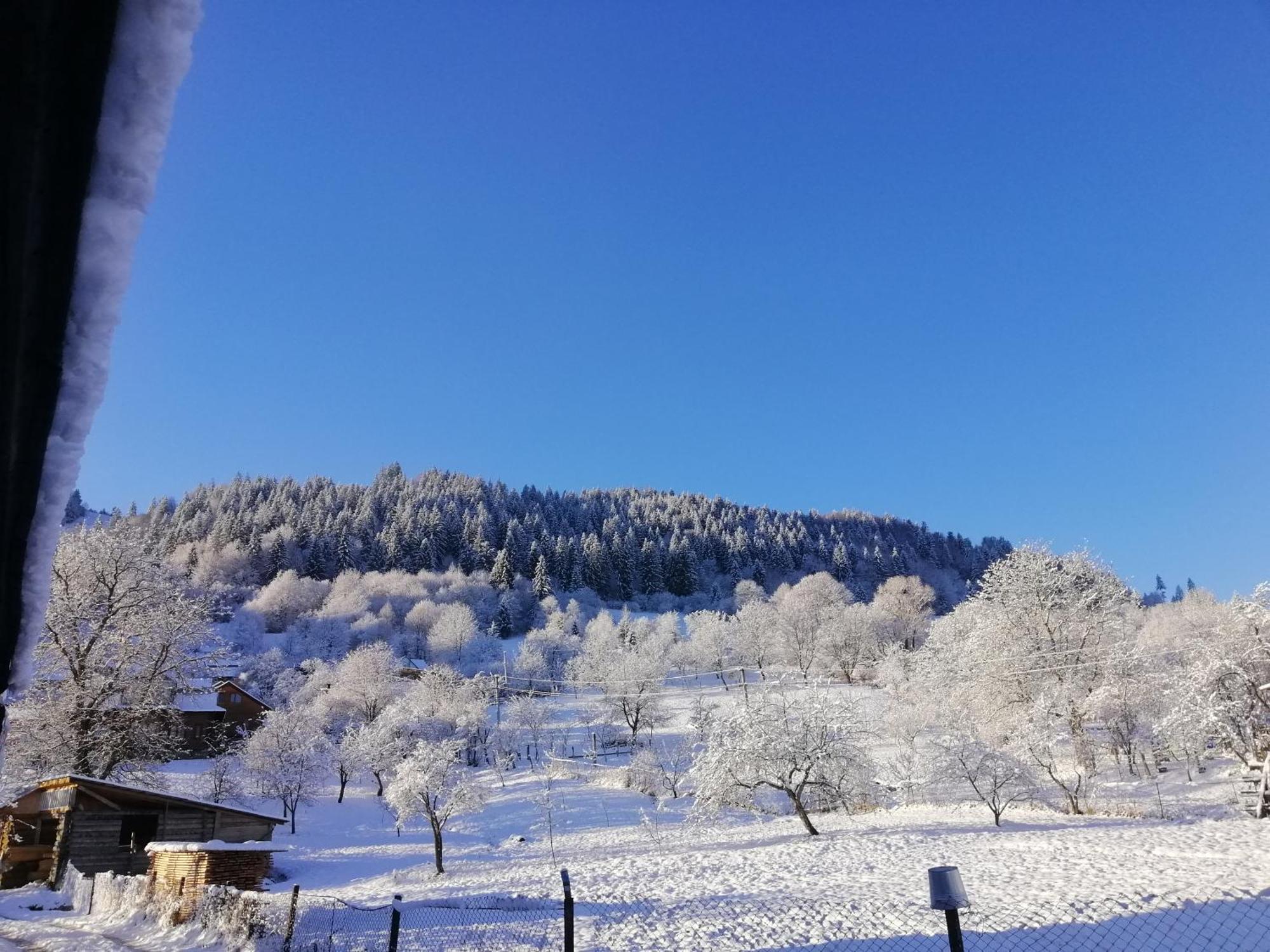 Анничка Villa Khorotseve Dış mekan fotoğraf