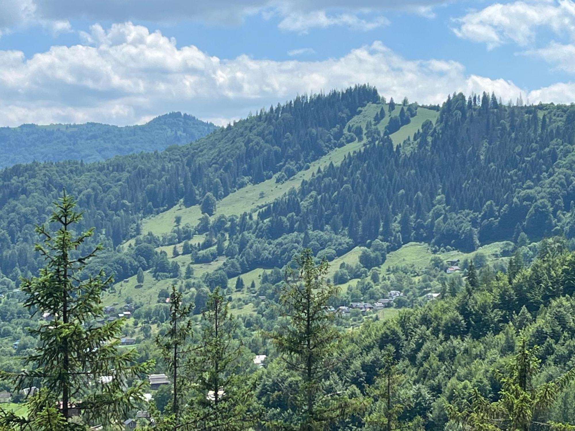 Анничка Villa Khorotseve Dış mekan fotoğraf